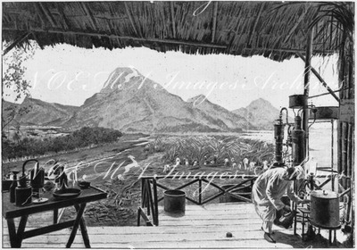 L'Exposition coloniale.- Un rhumerie à Mayotte.1900年博 植民地展 － マイヨットのラム酒製造所