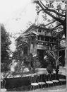 Exposition coloniale.- Le kiosque forestier de la Réunion.1900年博 植民地展 － レユニオン諸島の森林店舗