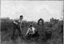 La peinture française pendant le siècle.- Jules Breton.- La récolte des pommes de terre.1900年博 19世紀のフランス絵画 ジュール・ブルトン － じゃがいもの収穫