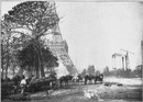 Au Champ-de-Mars.- Déplacement des arbres pour l'ouverture des nouveaux chantiers.1900年博 シャン・ド・マルス会場 － 新しい建設現場を作るために樹を移動させる