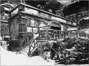 L'Exposition forestière.- Groupes d'animaux et diorama de la section hongroise.1900年博 森林展 － ハンガリーコーナーの動物とジオラマ