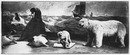 Le Pavillon de la Norvège.- Animaux et dioramas des mers boréales.1900年博 ノルウェー館 － 北極海のジオラマと、動物たち
