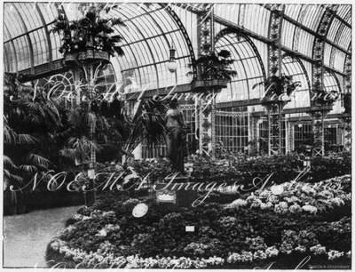 Les concours d'horticulture.- Corbeille d'azalées (sections françaises).1900年博 園芸コンクール － アザレアの寄せ植え（フランスコーナー）