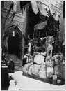 "Le Palais de l'Asie Russe.- Animaux, bois et echantillons minéralogiques du Caucase." 1900年博 アジア・ロシア館 － コーカサスの動物、樹、鉱物見本