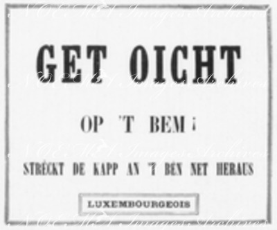 Les 33 affiches du Chemin de fer de l'Exposition le long du quai d'Orsay. : LUXEMBOURGEOIS オルセー河岸沿いの会場内鉄道の張り紙33枚 ルクセンブルク語の「注意！木に気をつけて下さい。頭や足を出さないで下さい。」