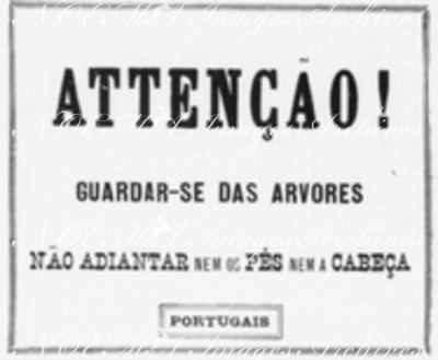 Les 33 affiches du Chemin de fer de l'Exposition le long du quai d'Orsay. : PORTUGAIS オルセー河岸沿いの会場内鉄道の張り紙33枚 ポルトガル語の「注意！木に気をつけて下さい。頭や足を出さないで下さい。」