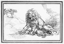 Lions : Dessin d'Eugene Delacroix. 「ライオン」 ウージェーヌ・ドラクロワの素描