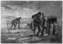 "La Récolte de pommes de terre, tableau de M. Millet." 「じゃがいもの収穫」、ミレー画
