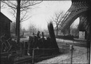 Sur les chantiers de Champ-de-Mars.3.- Le cimetière des vieux arbres.1900年博 シャン・ド・マルスの工事現場 3.－枯れ木の墓