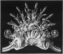 "La décoration ornementale du pont Aléxandre.- Bouquet de roseaux, avec lampes à incandescence, surmontant le motif central de la balustrade." 1900年博 アレクサンドル橋の装飾 － バラストラード中央モチーフの上部を飾る葦のブーケ、中に電球がしこまれている